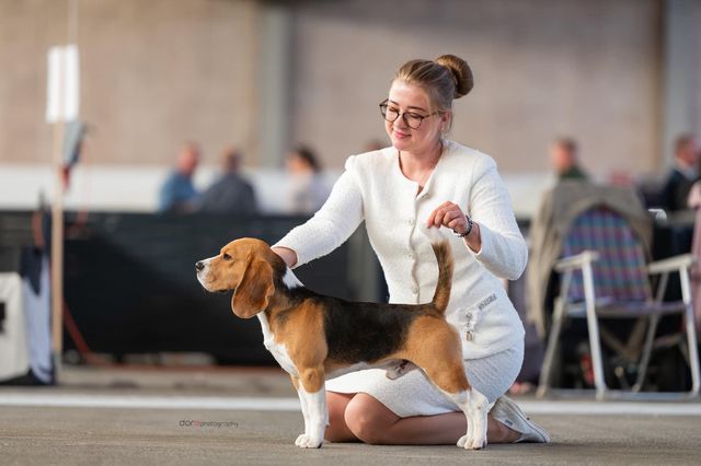 Darling from Ukraine Mary Lucky Stars