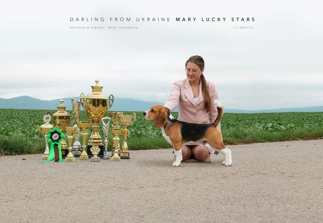 Darling from Ukraine Mary Lucky Stars