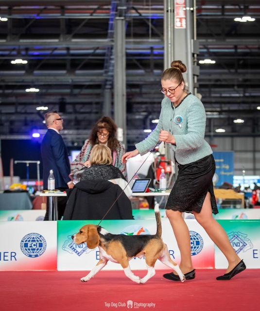 Darling from Ukraine Mary Lucky Stars