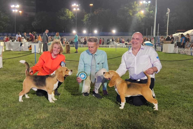 Vicky bei der CACIB Split