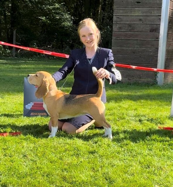 Vicky bei der CAC Gemeinschaftsaustellung Langenselbold