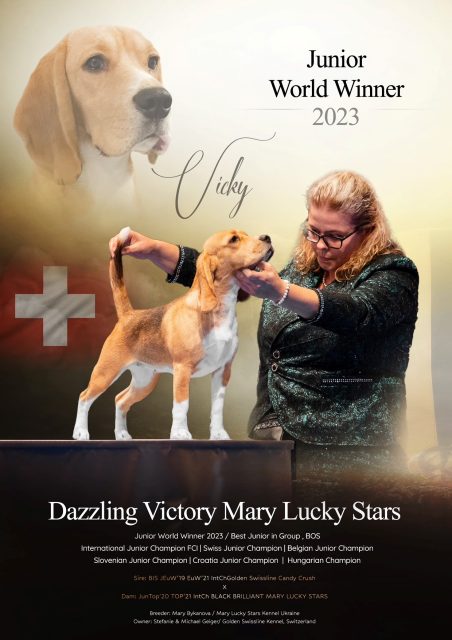 Vicky - Dazzling Victory Mary Lucky Stars