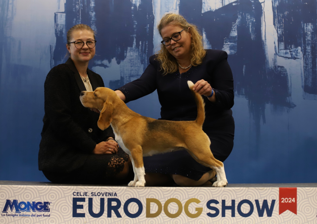 Vicky - Dazzling Victory Mary Lucky Stars