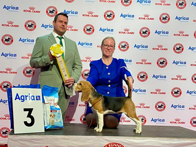 Iconic Ink - 5 Monate