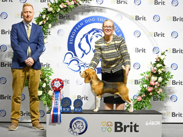 Iconic Inc - BEST OF BREED AT EDS 2025
JEUW 2025