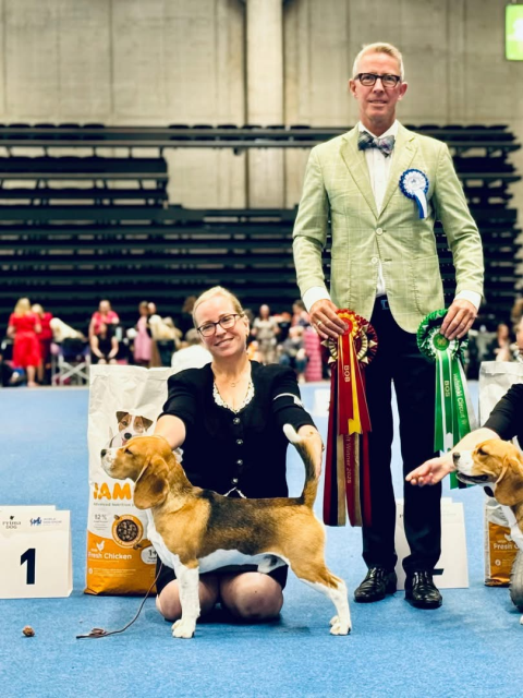 Iconic Ink - BEST OF BREED at Helsinki CircuitShow und V2 in junior class at WDS 