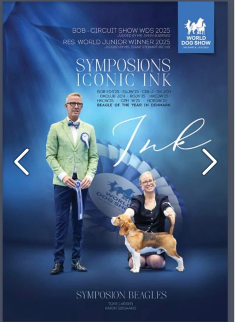 Iconic Ink - BEST OF BREED at Helsinki CircuitShow und V2 in junior class at WDS 