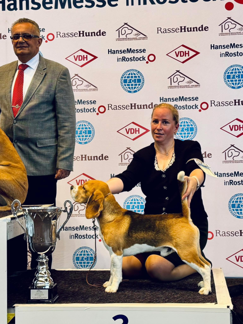 Iconic Ink - BEST IN SHOW 3# in Rostock 