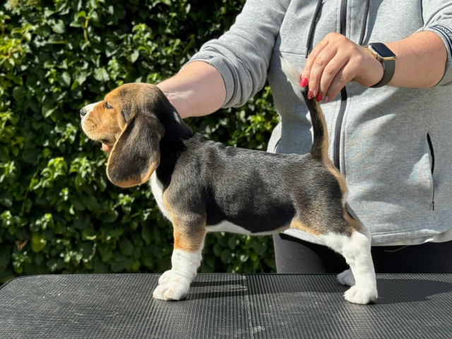 Innocent Isa - 7,5 Wochen 