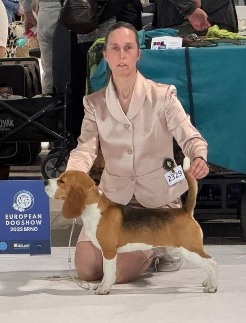 Insta Ivy - Excellent at EDS 2025