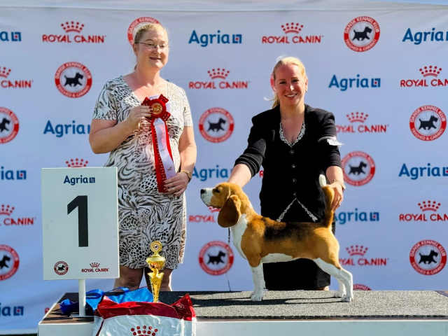 Insta Ivy - Best in Group and BEST JUNIOR IN SHOW 3#