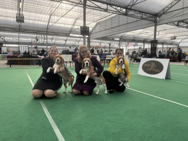 Curtis bei der CACIB Bleiswijk 2024