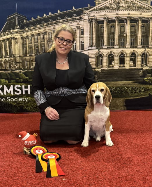 Curtis bei der BRÜSSEL DOGSHOW 2024