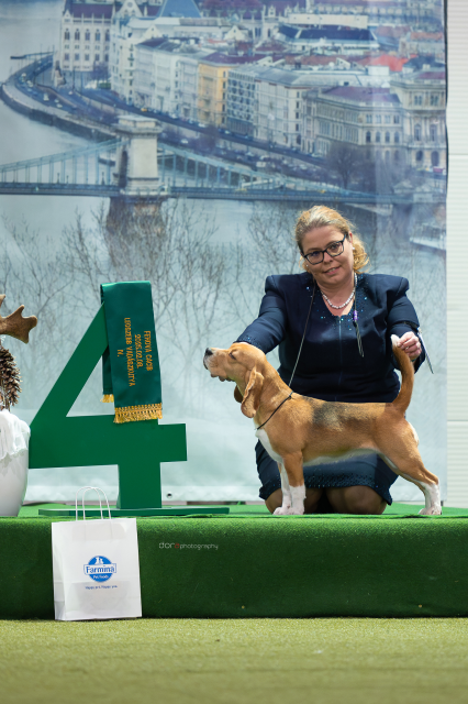 Vicky bei der CACIB Budapest 2024