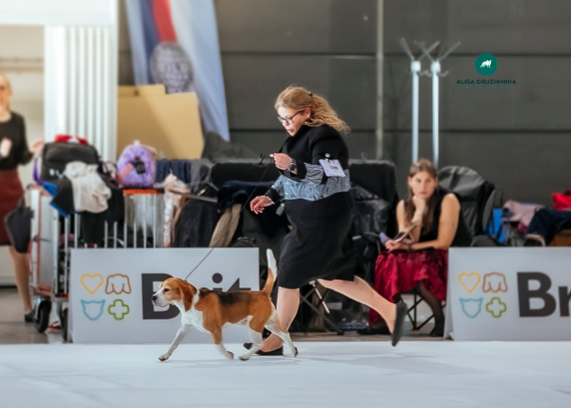 Curtis bei der EDS Brno 2025