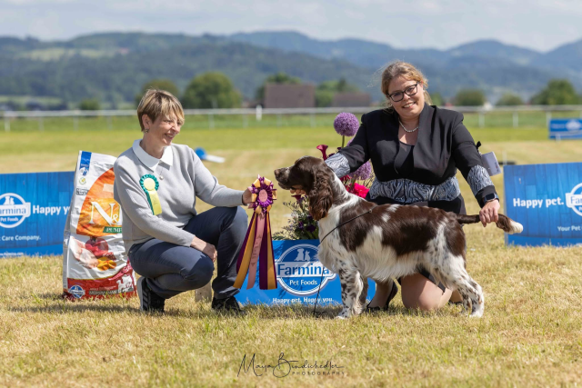 Flash beim Dogshow Project 2025