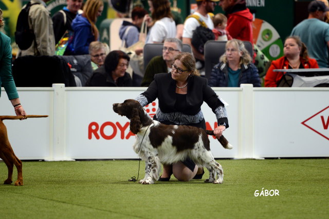 Flash bei der Europasieger 2025 VDH