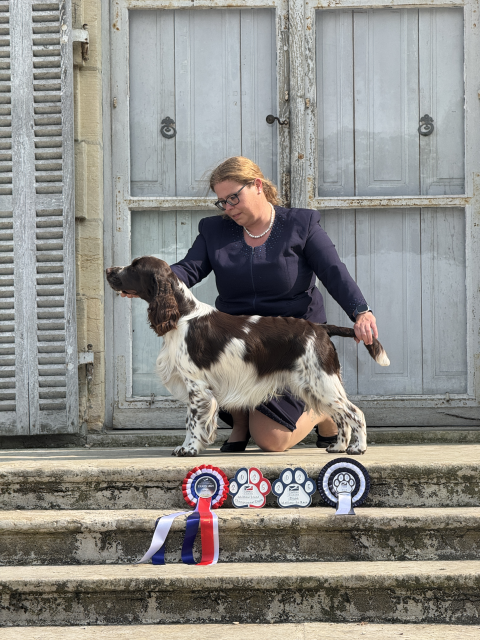 Flash bei der Exposition internationale avec spèciales de race