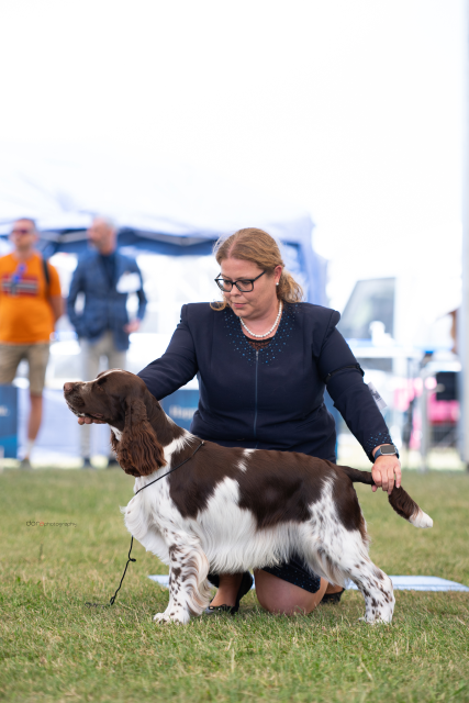 Flash bei der CACIB Postojna 2025