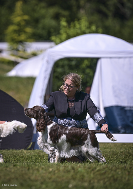 Flash bei der CACIB Aarau 2025