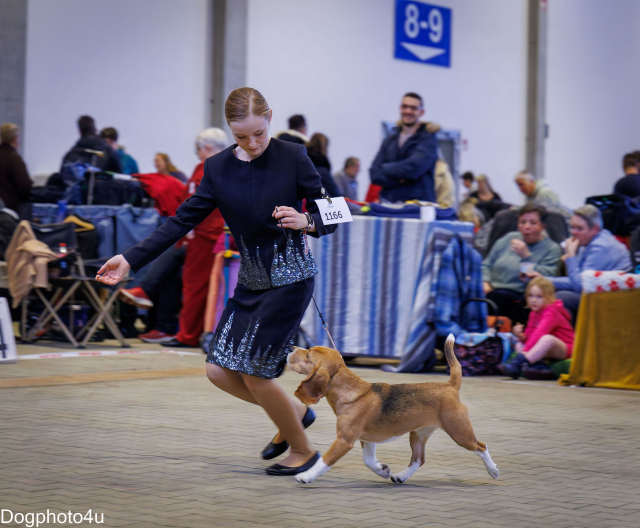 Vicky bei der CACIB Geneva