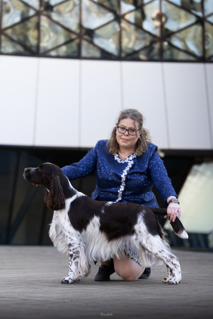 Flash bei der CACIB Budapest 2026