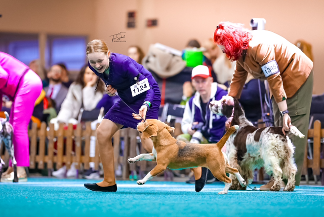 Dazzling Victory Mary Lucky Stars - Vicky