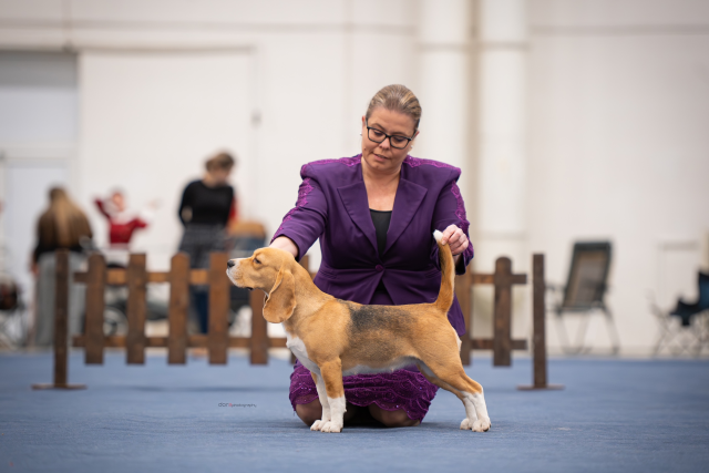 Dazzling Victory Mary Lucky Stars - Vicky