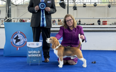 World Dogshow Zagreb 2024