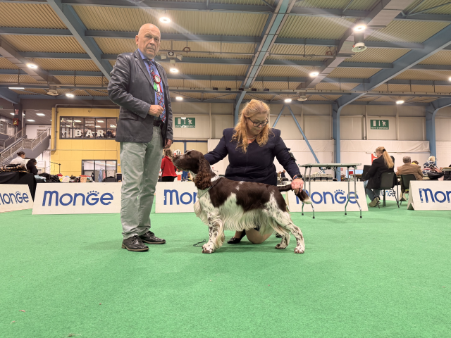 International DOG SHOW Busto Arsizio