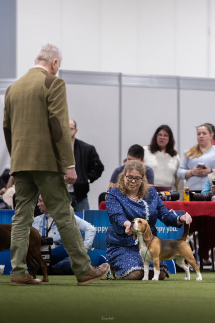 Wir melden uns zurück!!!!!